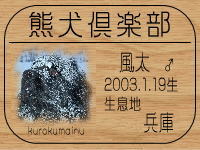 �I�[�i�[�́Aasfuuta����ł���